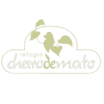 chatgpt image 20 de out. de 2025 19 20 39 removebg preview